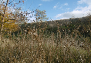 Jesień oczami naszych uczniów